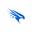 隐域安全 Logo